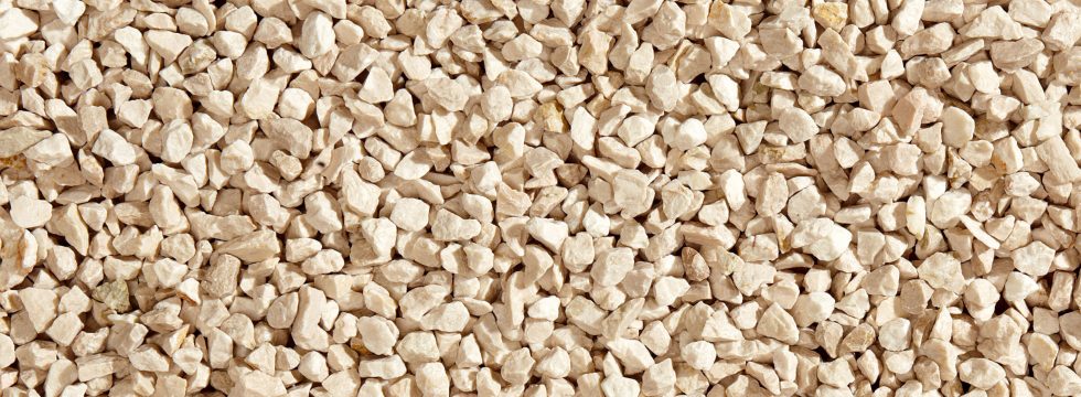 [19-10324] BOTTICINO