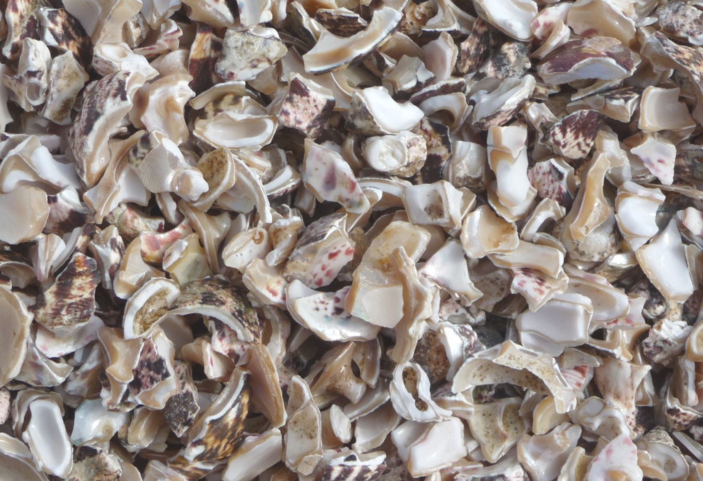 [19-11609] NACRE1 WHITENED (0,8-1,2mm)