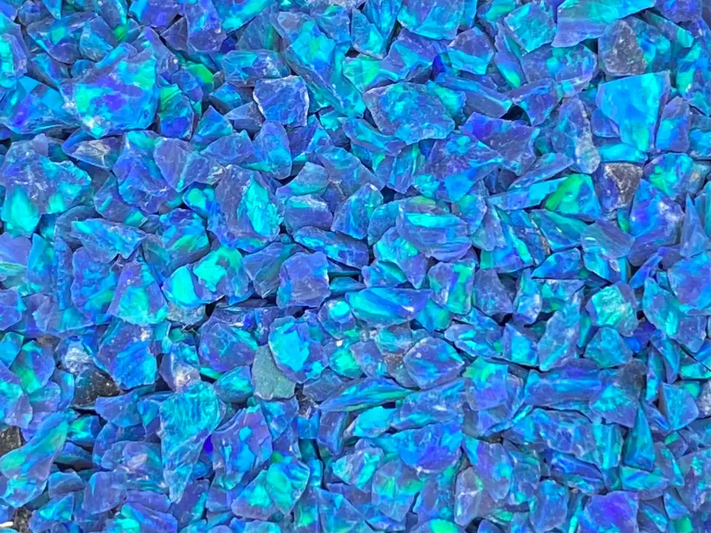 [19-11828] ABALONE - 5KG (0,8-1,2mm)