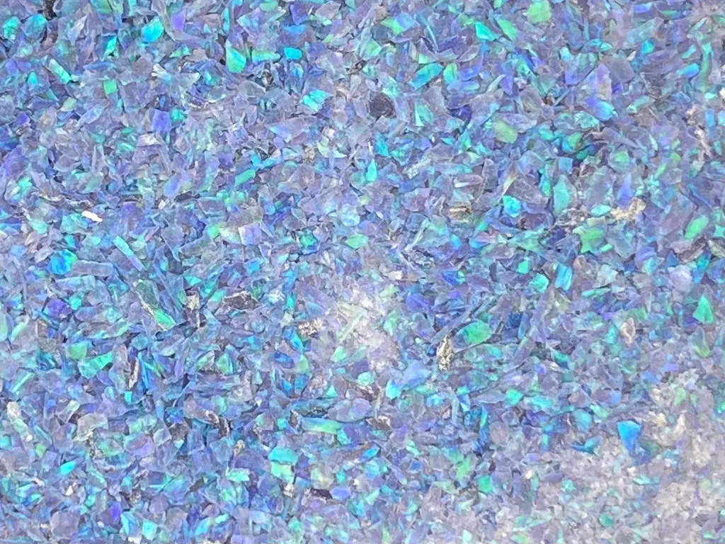 [19-11857] ABALONE - 10KG (0,8-1,2mm)