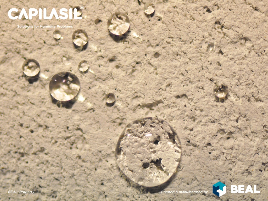 [36-10157] CAPILASIL WOOD 1kg