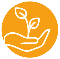 Environment Friendly