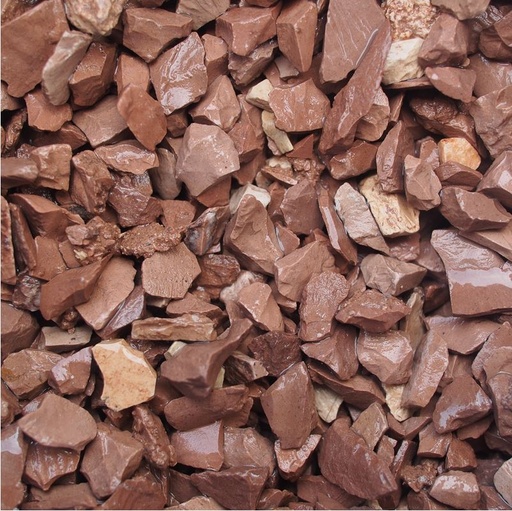 MARRON PRUGNA 